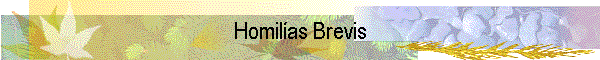 Homilías Brevis