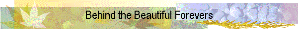 Behind the Beautiful Forevers