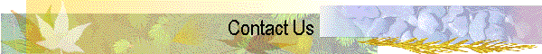 Contact Us
