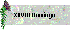 XXVIII Domingo