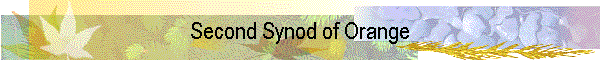 Second Synod of Orange