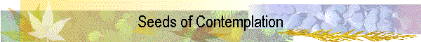 Seeds of Contemplation